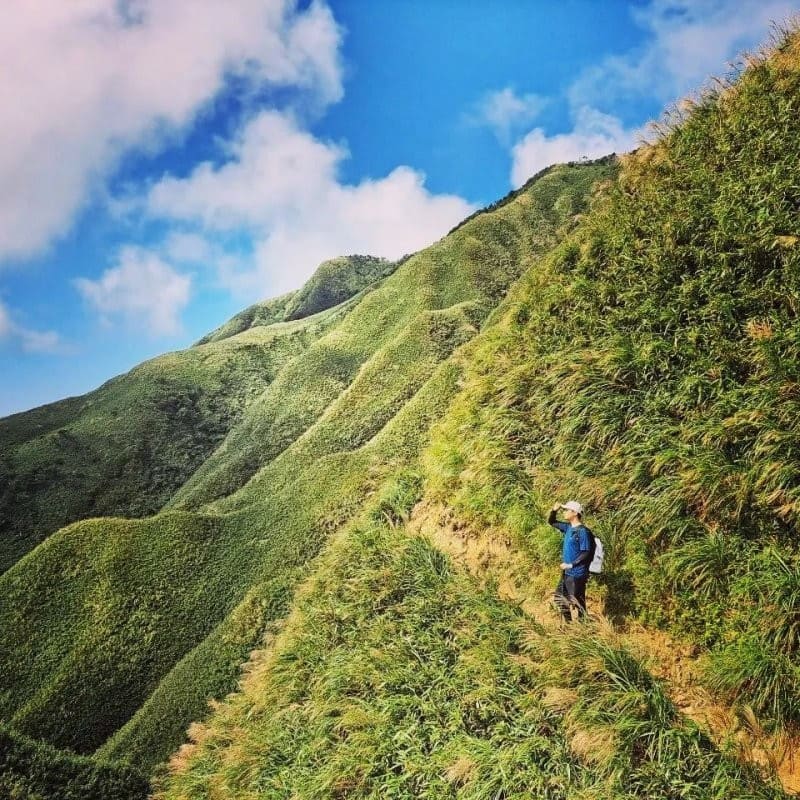 抹茶山